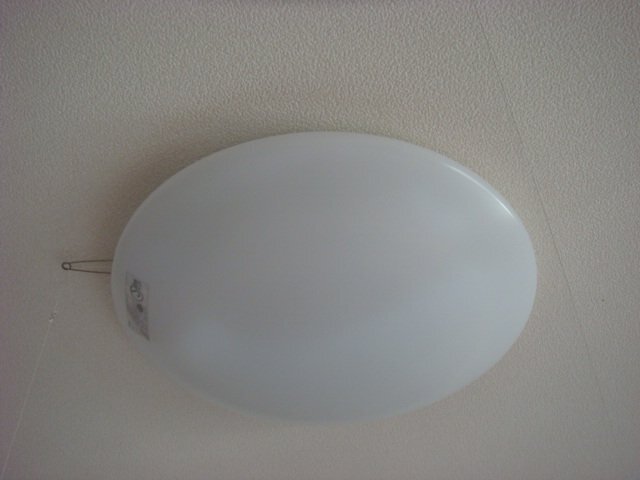照明