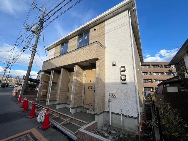 カーロ　オルテンシア　caroortensia