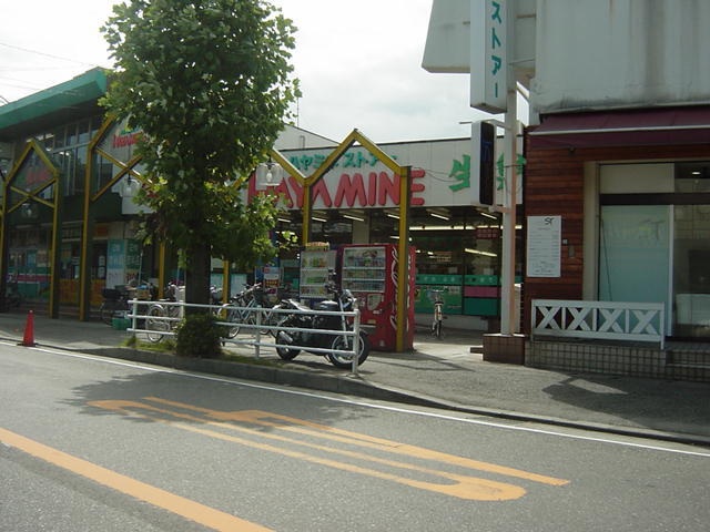 早峰ストアー鴨宮店