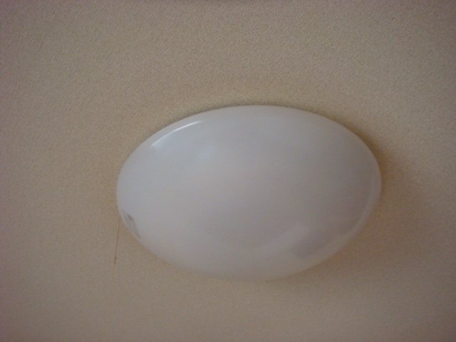 照明