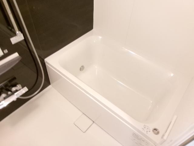バス