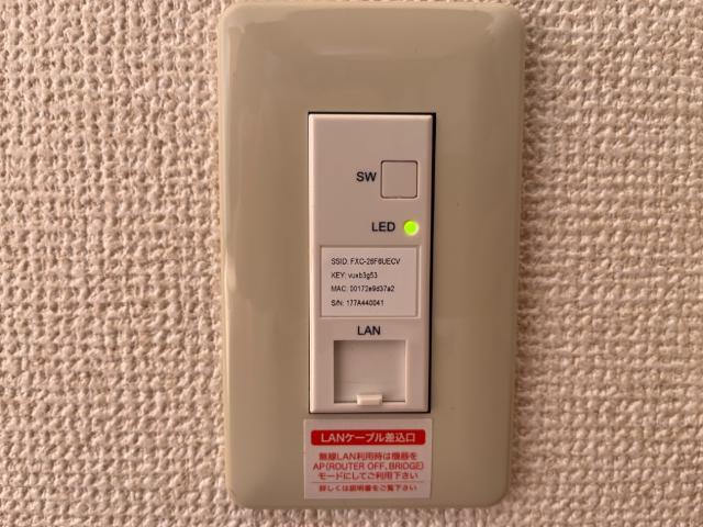 ネット無料
