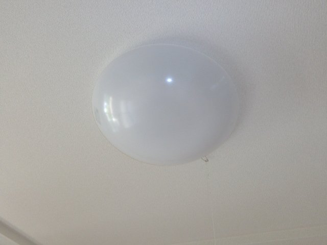 シーリングライト