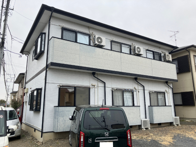 ステラコート
