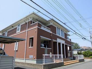 ソルフィ－Ｊ