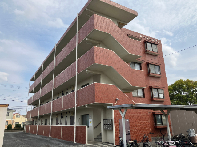 シーダータウン