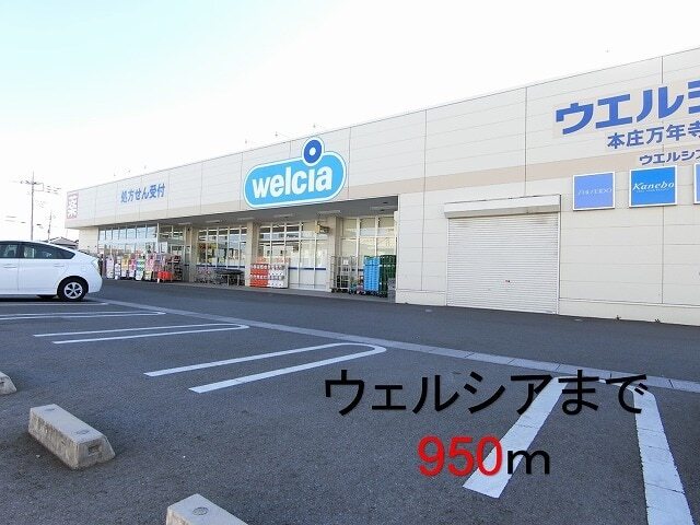 ウェルシア本庄万年寺店