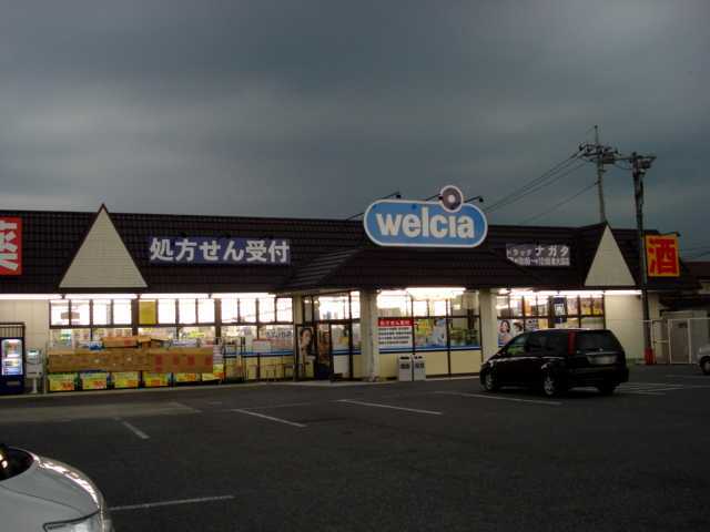 ドラッグナガタ深谷東大沼店