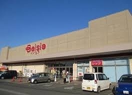 ベイシア寄居店