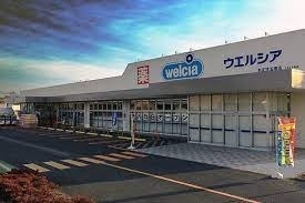 ウエルシア本庄児玉南店