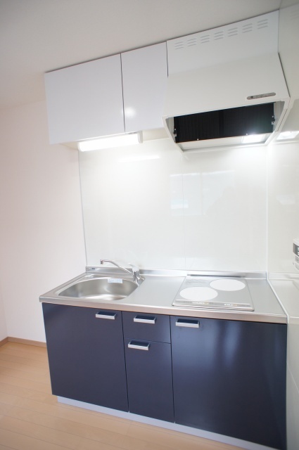 IHクッキングヒーター