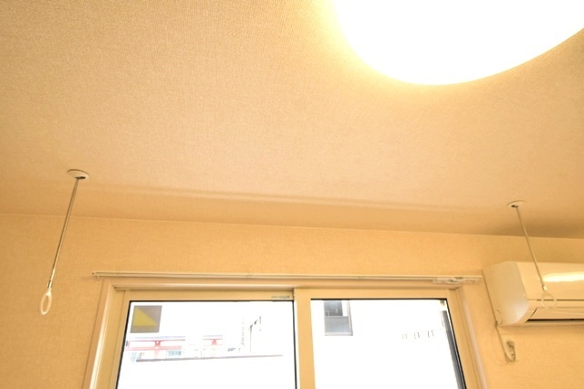 ホスクリーン
