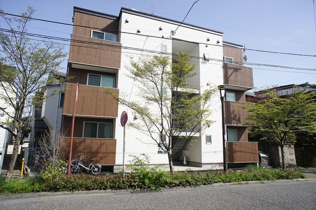 L collection営所通