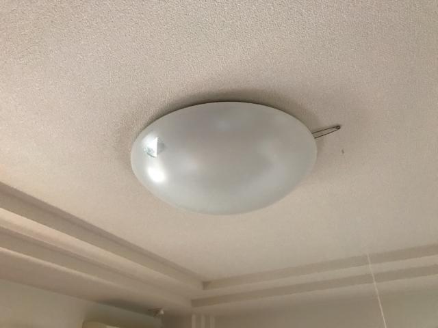 照明