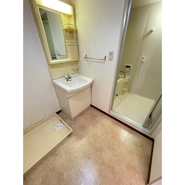 室内洗濯機置場ある洗面所