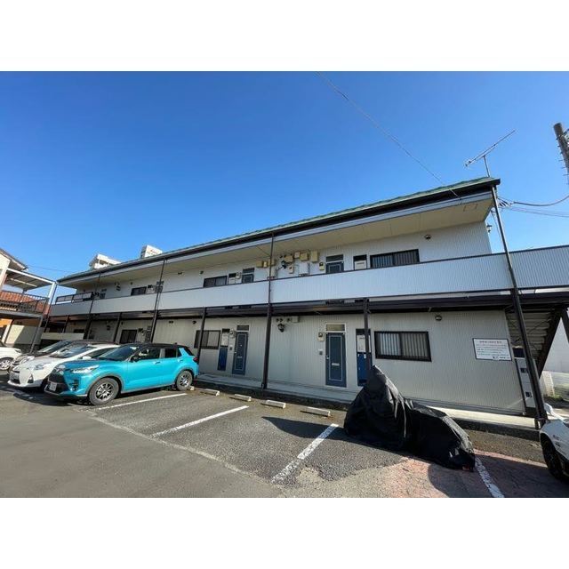 ラベンダー