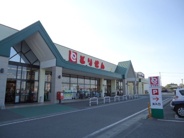とりせん下田島店