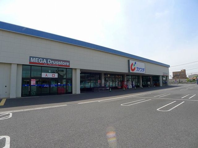 カワチ薬局内ケ島店