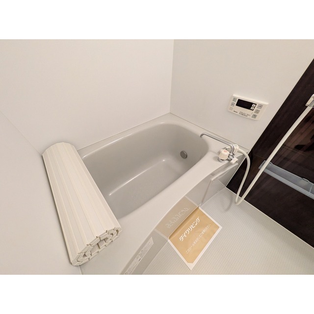 205の写真205の写真(全くタイプの違う写真です)
