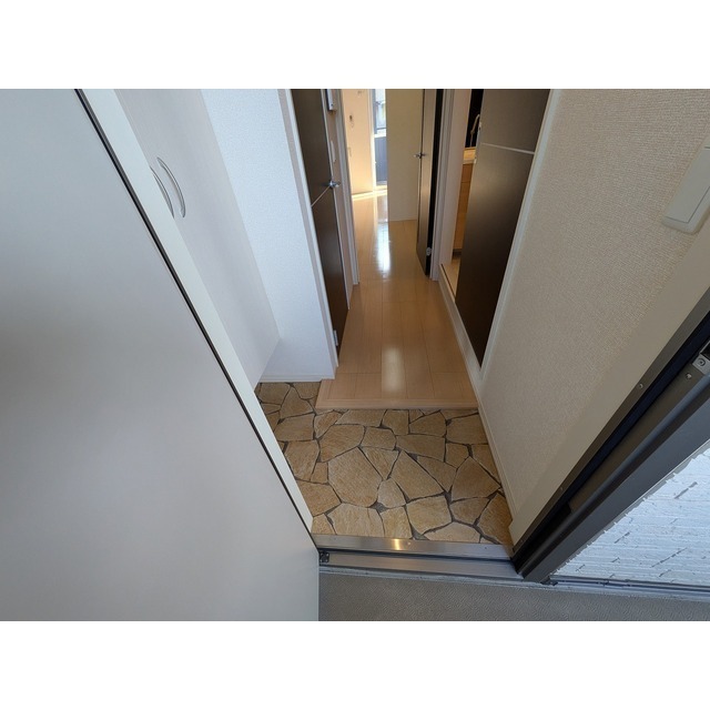 205の写真