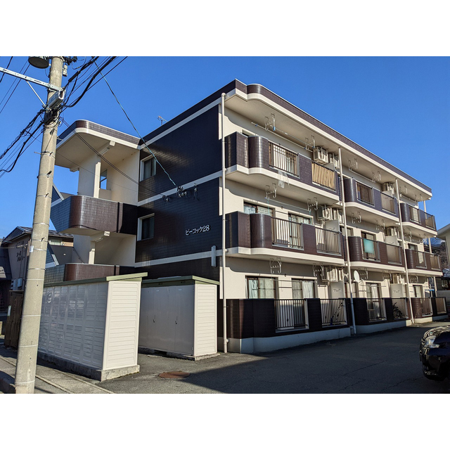 ピーコック２８