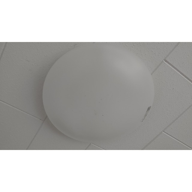 洋室南西　照明器具