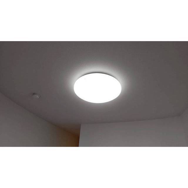 照明器具(洋室8.7帖)