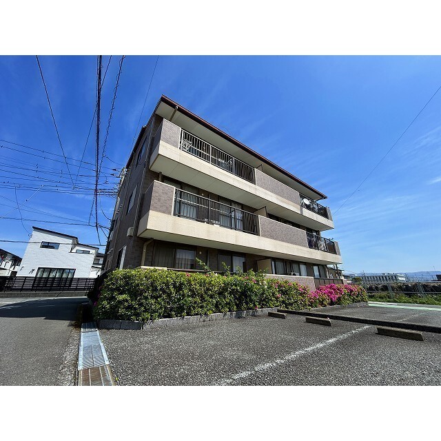 ロイヤルパレス湯川