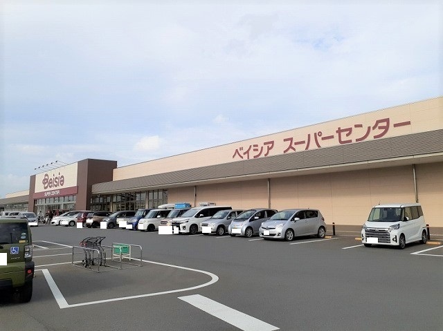 ベイシア 成田芝山店