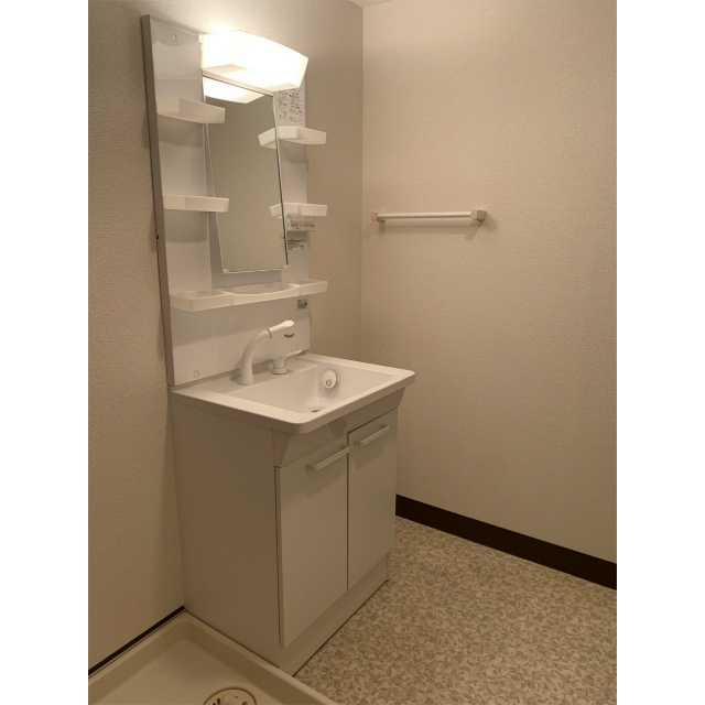 ｼｬﾝﾌﾟｰﾄﾞﾚｯｻｰ