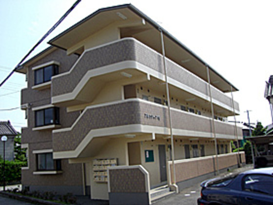 建物南側2