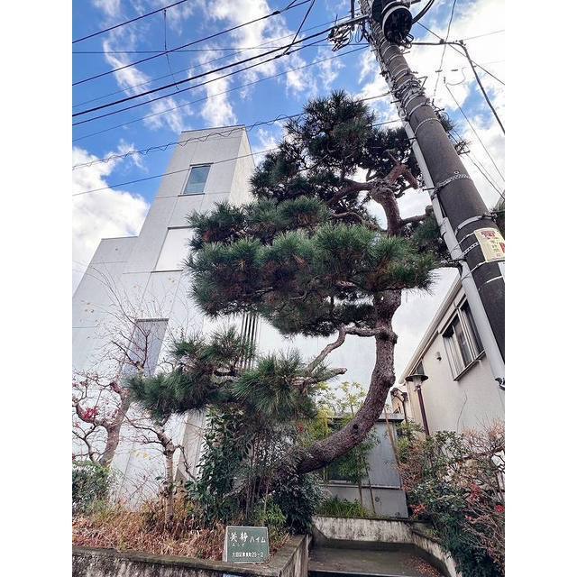 美静ハイム