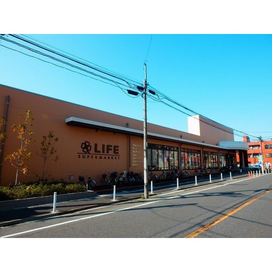 ライフ上池台店