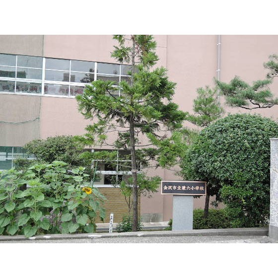 金沢市立兼六小学校