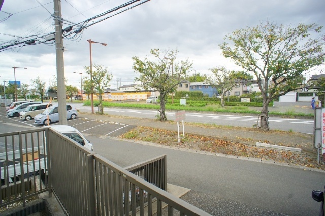 春には桜並木が満開になり景色を彩ります♪