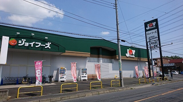 ジョイフーズ野田山崎店