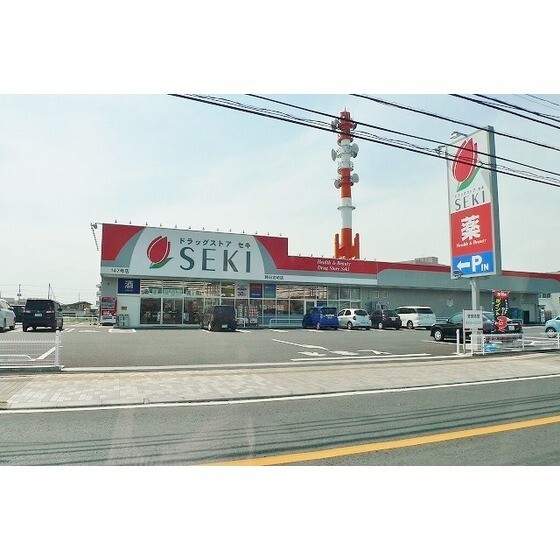 ドラッグストアセキ野田宮崎店