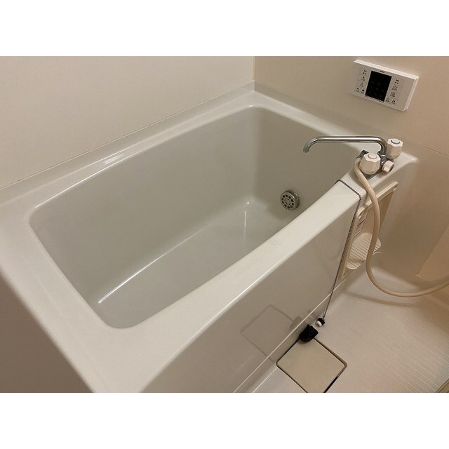 ※退去後の写真・現況優先