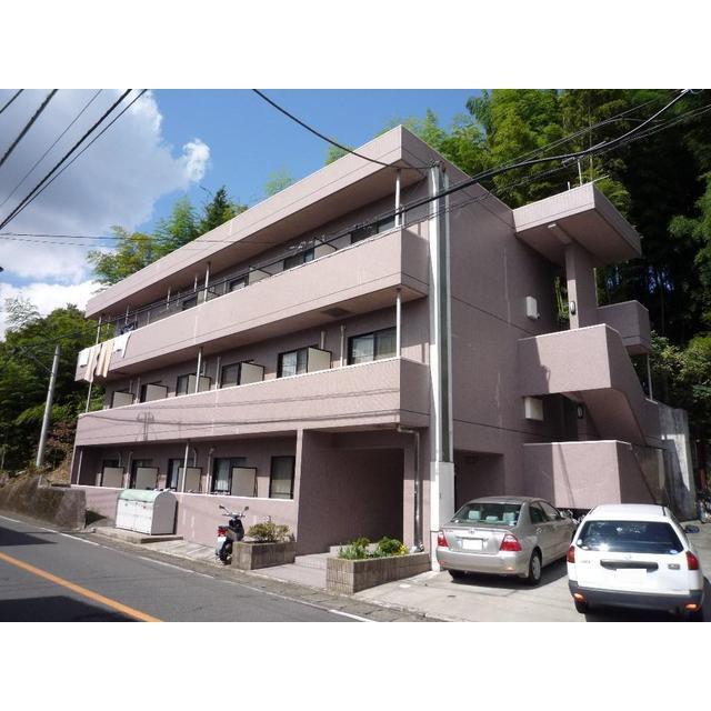 ベルバージェあざみ