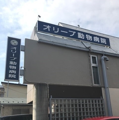 オリーブ動物病院