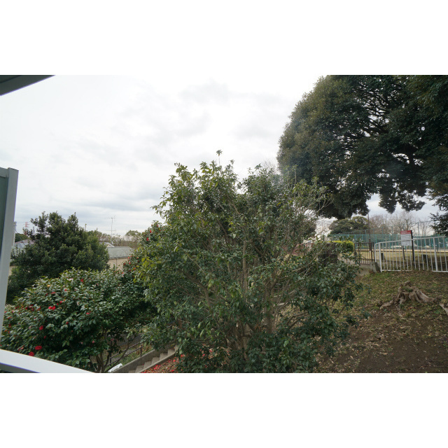 目の前は岸根公園です♪