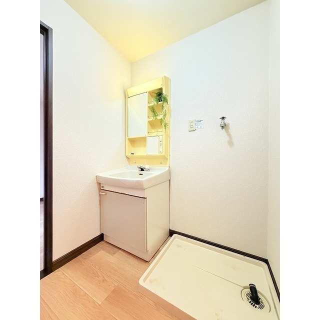 脱衣所には洗濯防水パンがあります!