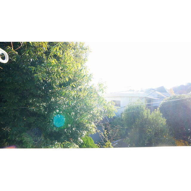 緑豊かな住環境です