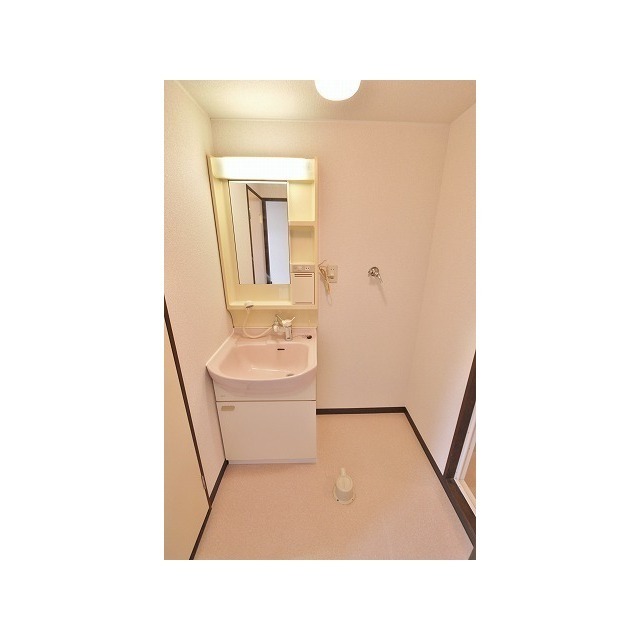 シャンプードレッサー