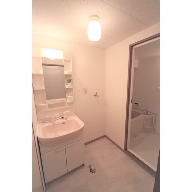 シャワー付き洗面化粧台