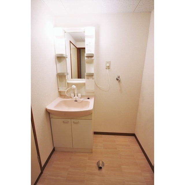 シャンプードレッサー