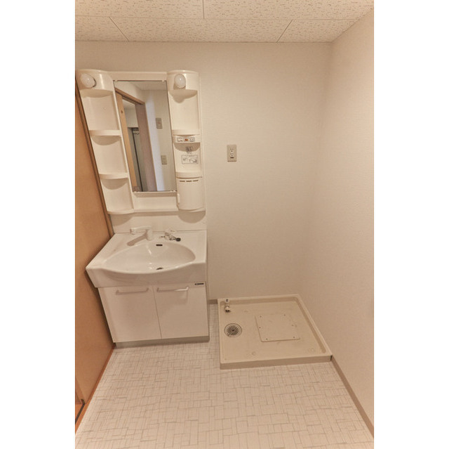 シャンプードレッサー