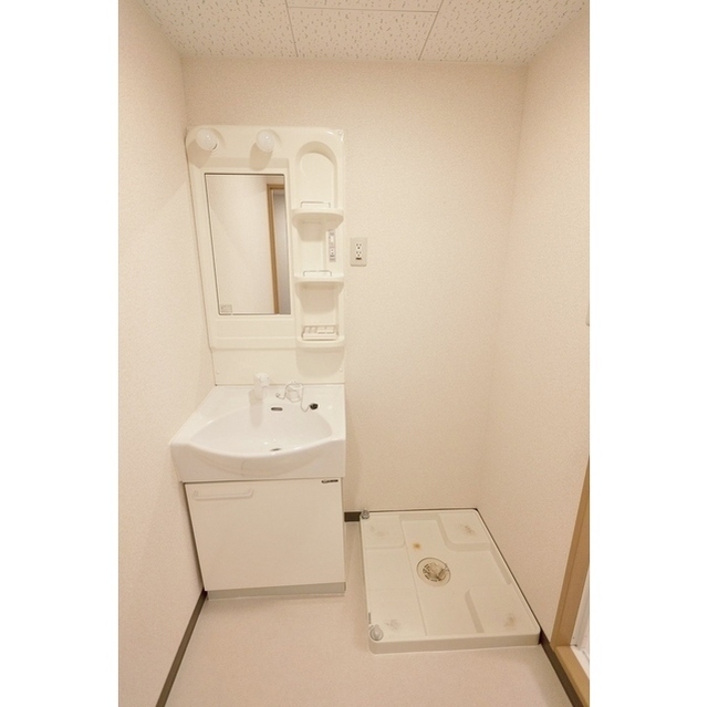 シャンプードレッサー