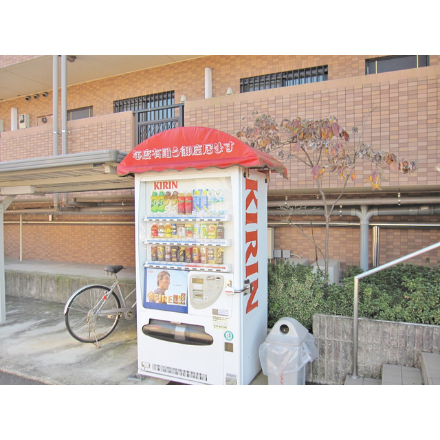 専用自販機