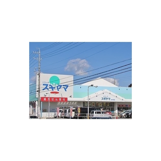 ドラッグスギヤマ庄中町店